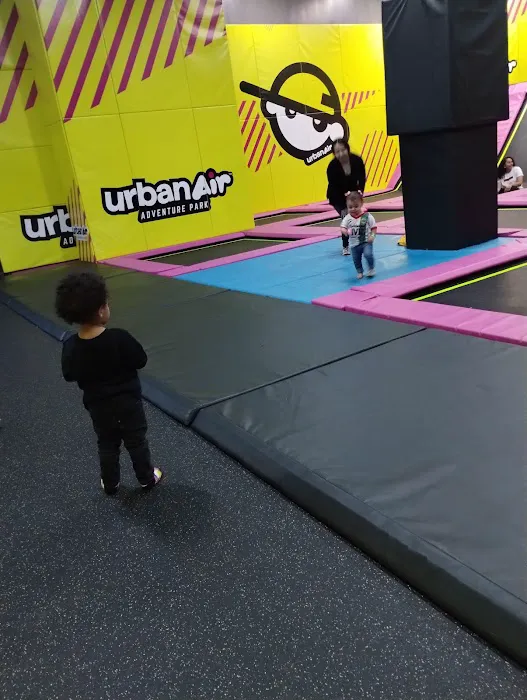 Urban Air Trampoline and Adventure Park Picture 7