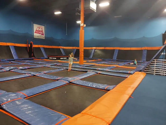Sky Zone Lancaster Picture 1