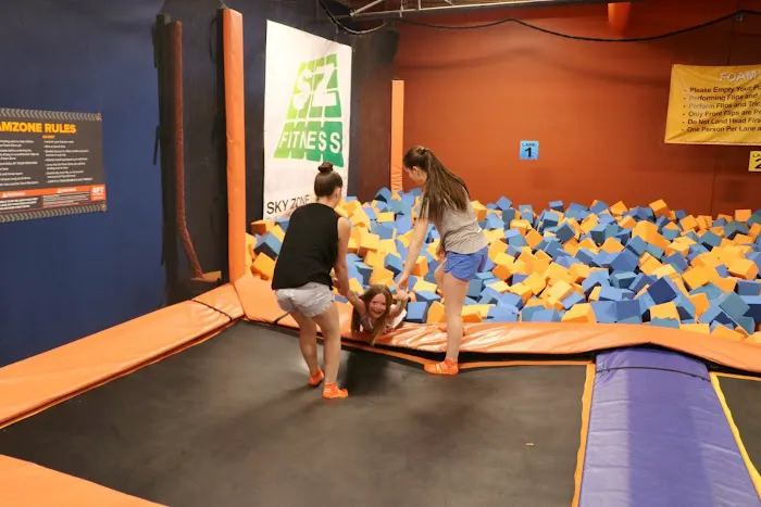 Sky Zone Harrisburg Picture 4