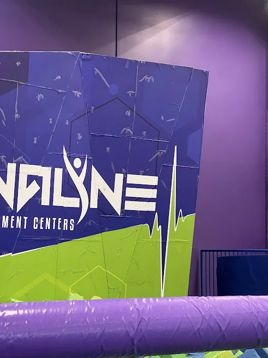Altitude Trampoline Park - York Picture 2