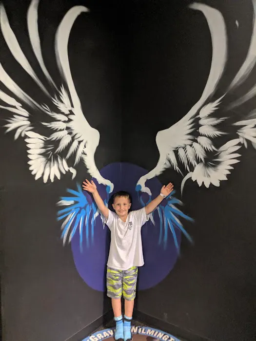 Sky Zone Trampoline Park Picture 5