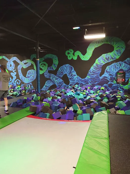 Sky Zone Trampoline Park Picture 2