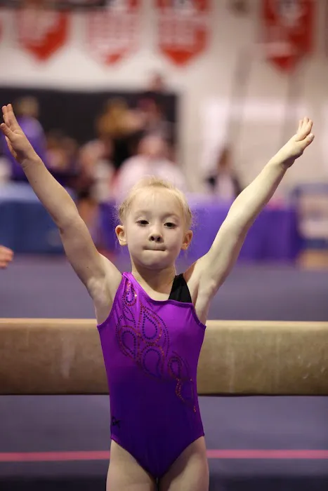 Champion Gymnastics Unlimited LLC Picture 5