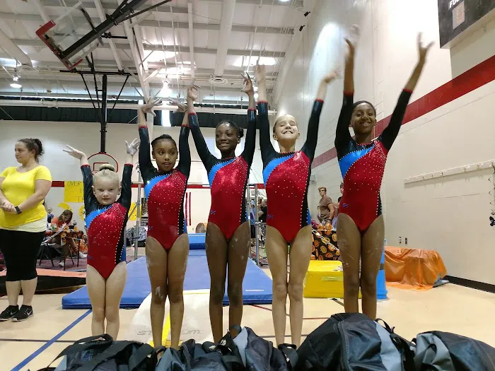 Champion Gymnastics Unlimited LLC Picture 9