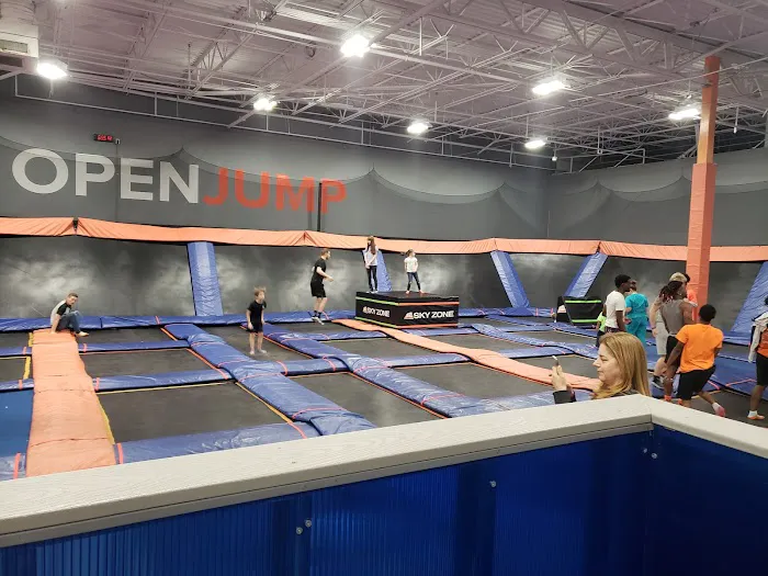 Sky Zone Trampoline Park Picture 1