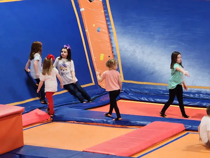 Ultimate Air Trampoline Park Picture 9