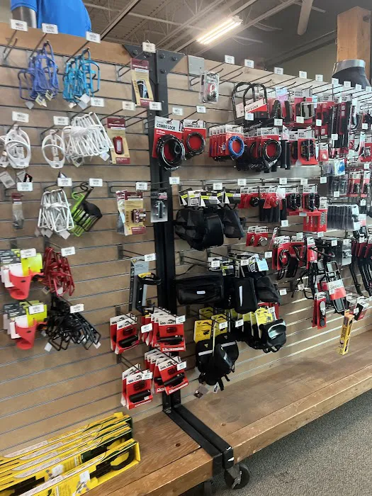 DICK'S Sporting Goods Picture 2