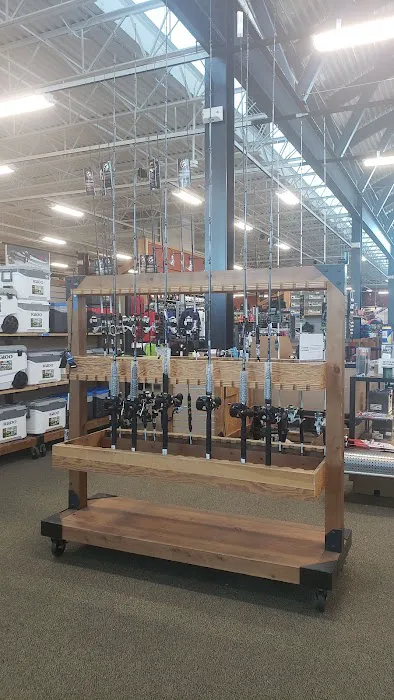 DICK'S Sporting Goods Picture 3