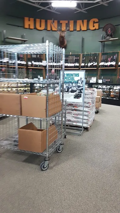DICK'S Sporting Goods Picture 10
