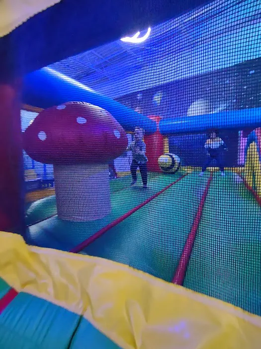 Zbounce Picture 8