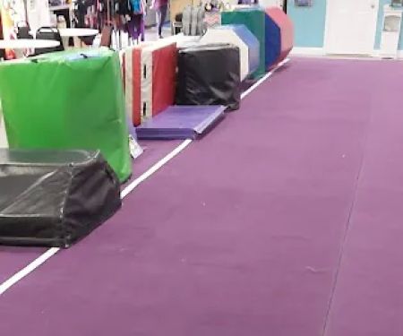 Flips