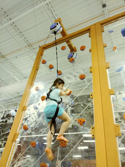 Sky Zone Trampoline Park Picture 6
