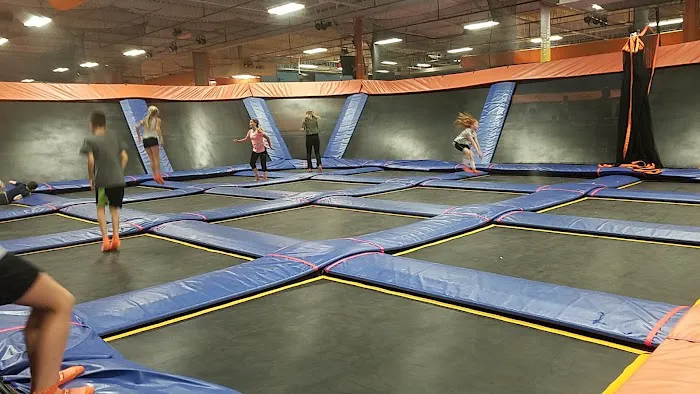 Sky Zone Trampoline Park Picture 7