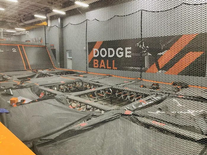 Sky Zone Trampoline Park Picture 6