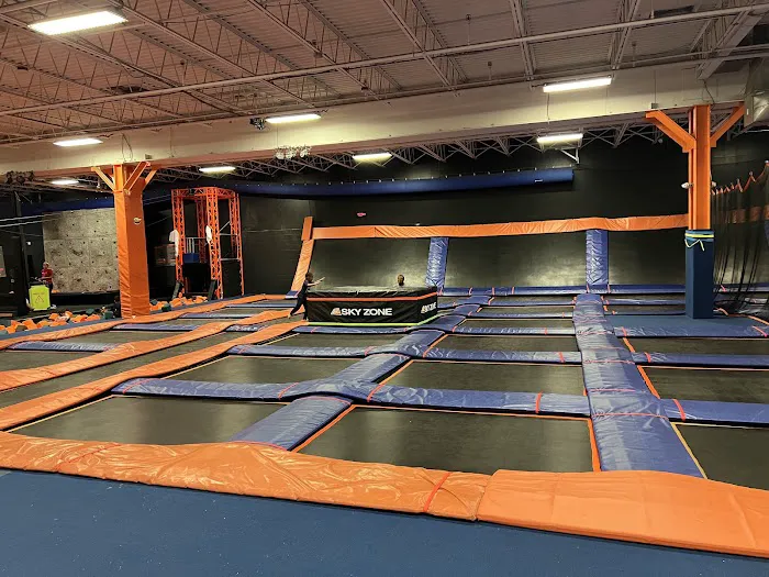 Sky Zone Timonium Picture 1