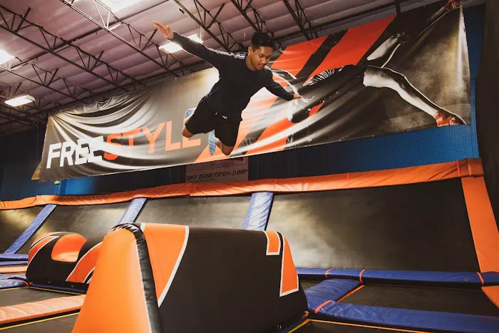 Sky Zone Timonium Picture 8