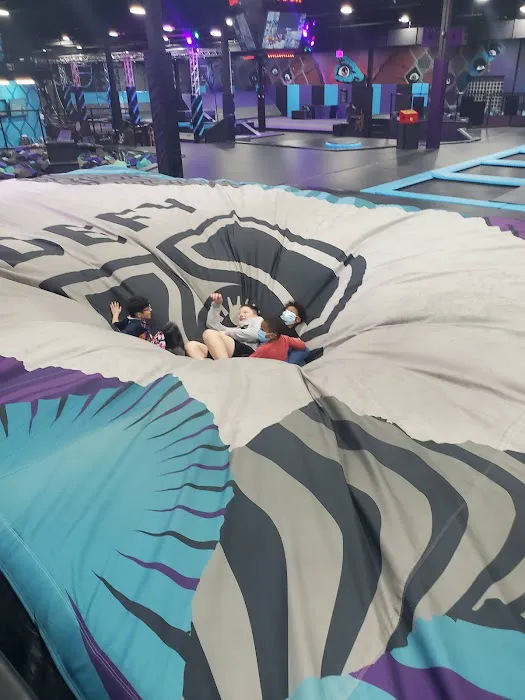 Sky Zone Trampoline Park Picture 7