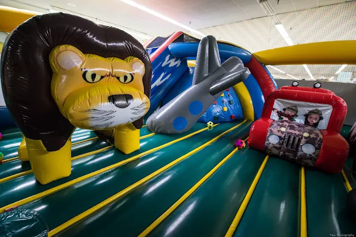 Beehive Indoor Playground Picture 2
