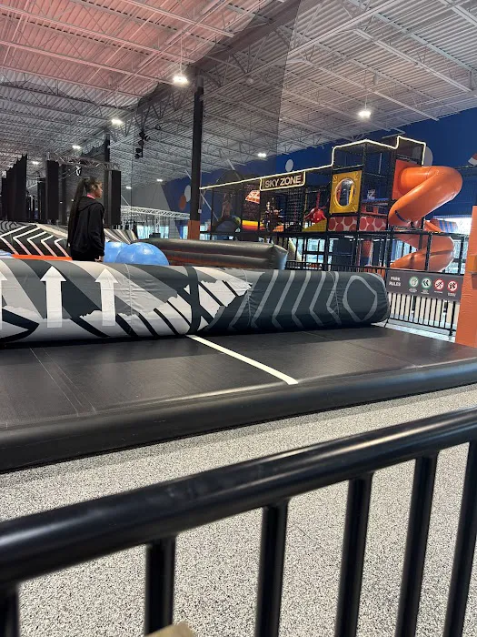 Sky Zone Gambrills Picture 3