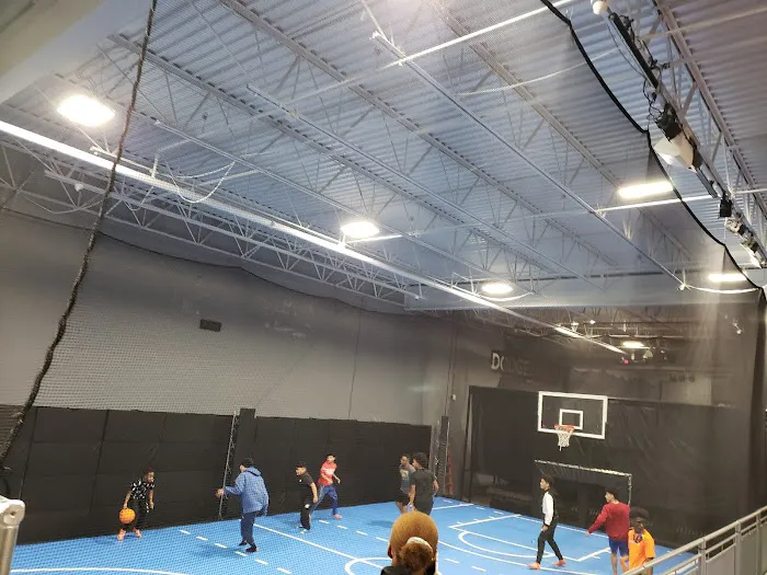 Sky Zone Trampoline Park Picture 4