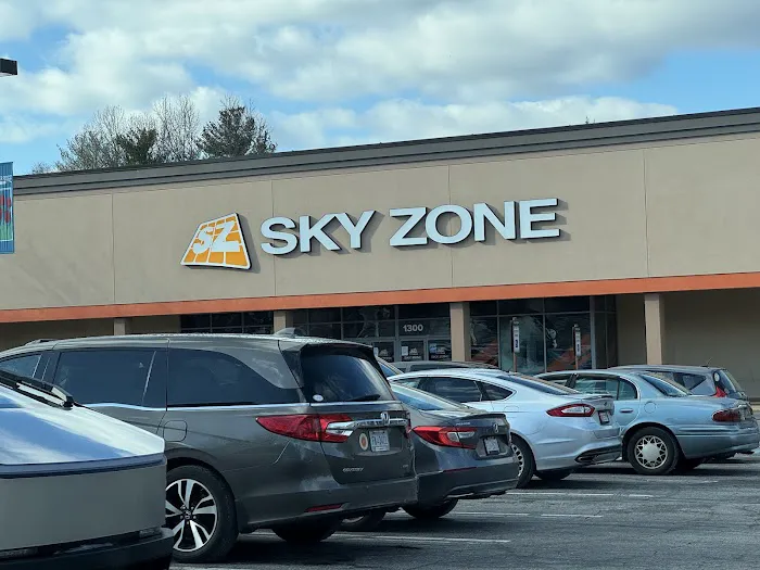 Sky Zone Trampoline Park Picture 1