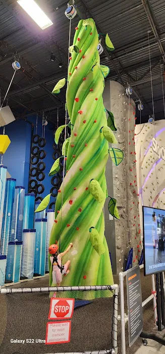 Urban Air Trampoline and Adventure Park Picture 6