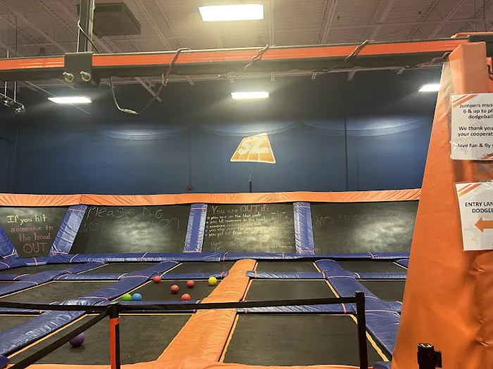 Sky Zone Trampoline Park Picture 1