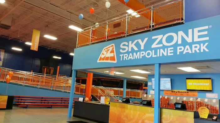 Sky Zone Trampoline Park Picture 6
