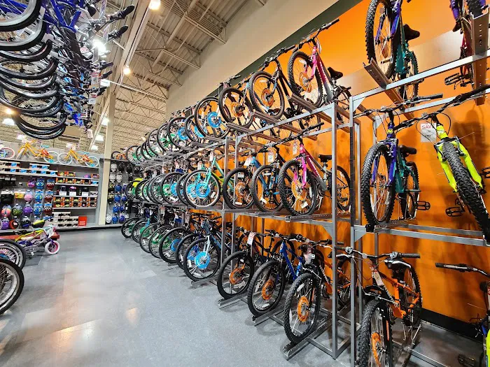 DICK'S Sporting Goods Picture 6