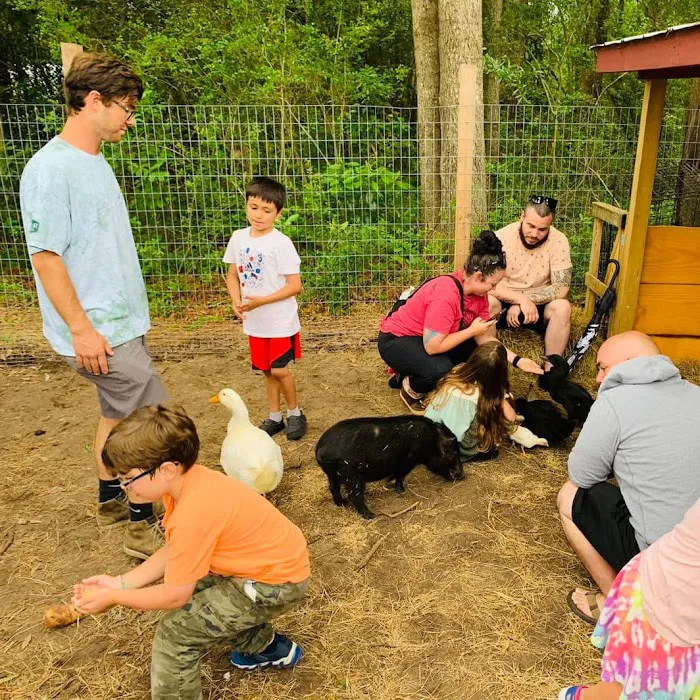 Grace Adventure Park Picture 2
