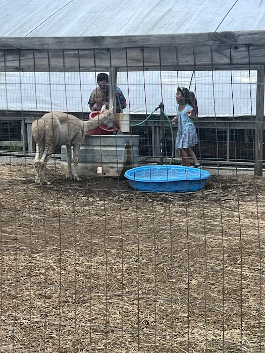 Grace Adventure Park Picture 3