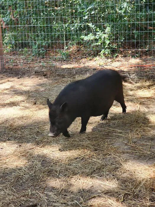 Grace Adventure Park Picture 7