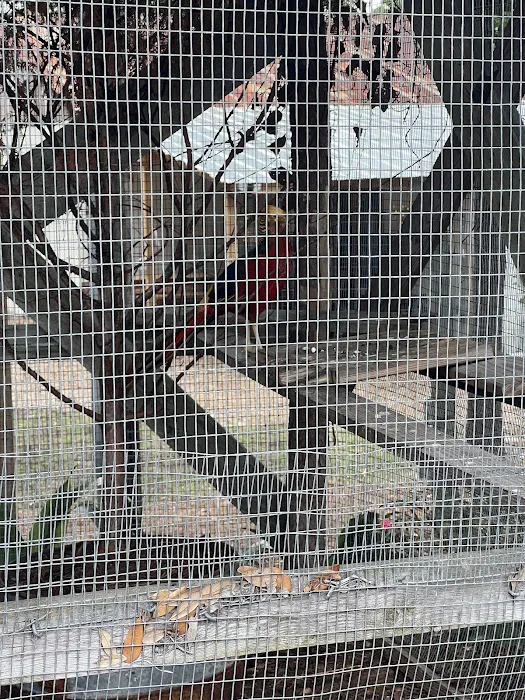 Grace Adventure Park Picture 6