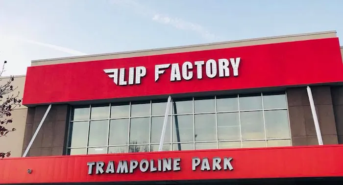 Flip Factory Zone Picture 8
