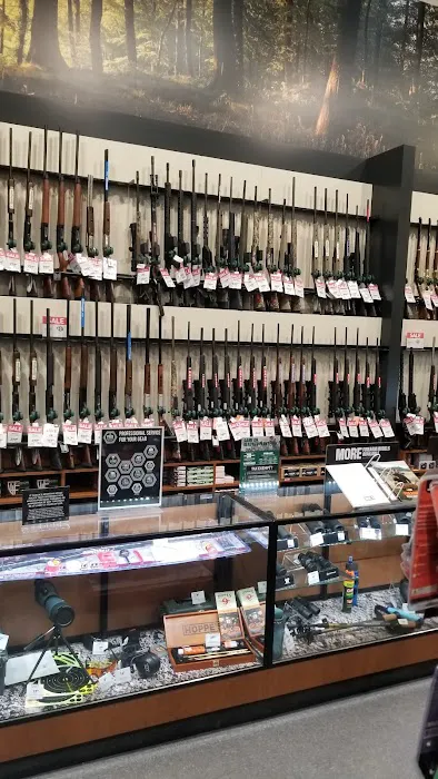DICK'S Sporting Goods Picture 10