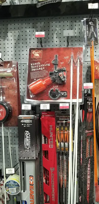 DICK'S Sporting Goods Picture 9