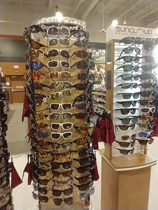 DICK'S Sporting Goods Picture 10