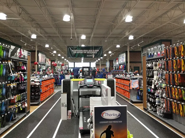 DICK'S Sporting Goods Picture 5