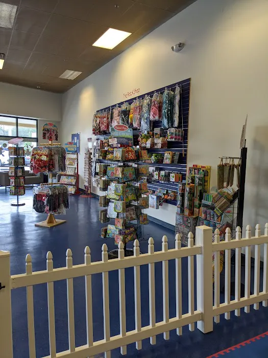 We Rock the Spectrum Kids Gym - Jacksonville Picture 4