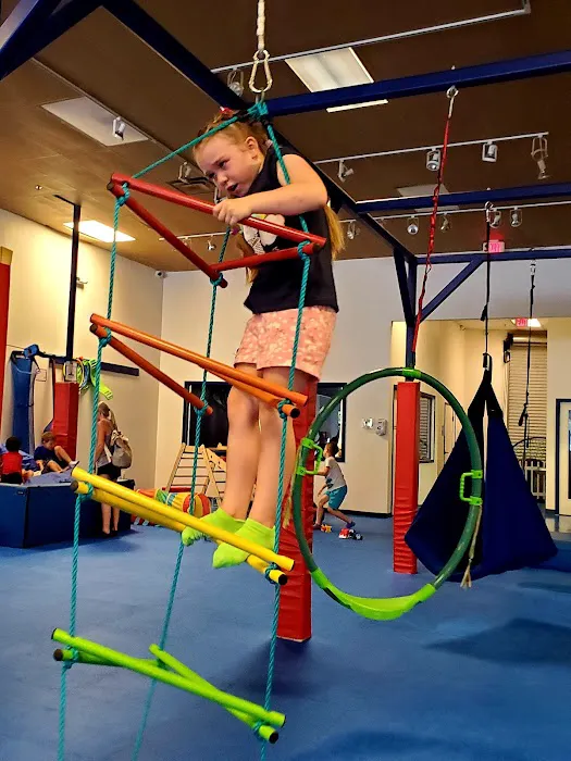 We Rock the Spectrum Kids Gym - Jacksonville Picture 3