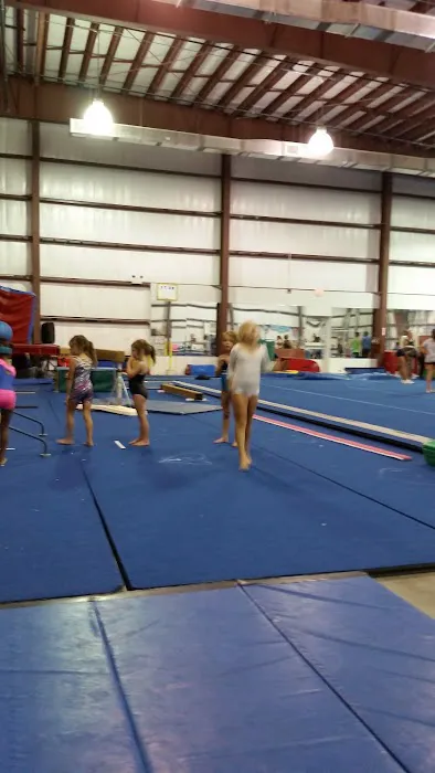 The Funplex of Gulf Breeze Picture 2