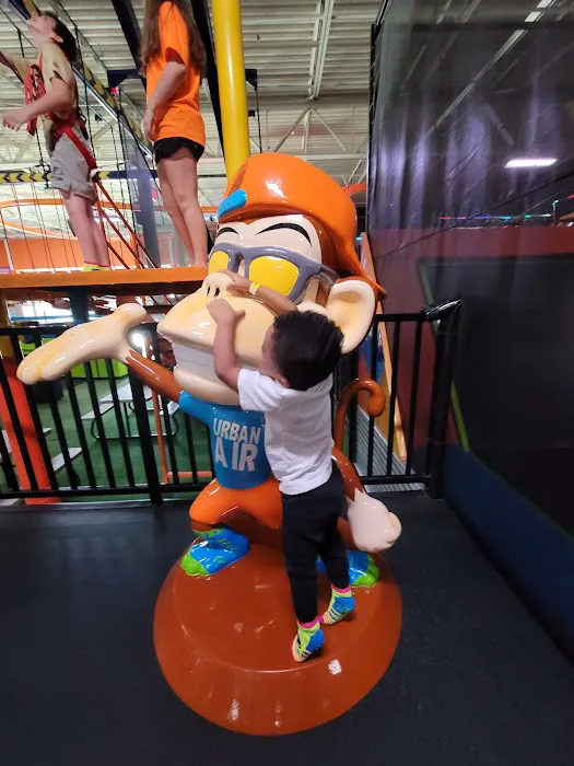 Urban Air Trampoline and Adventure Park Picture 5