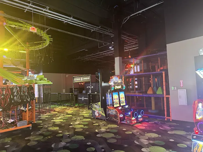 Surge Entertainment Picture 1