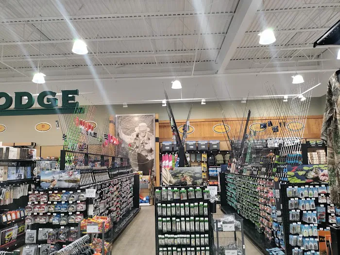 DICK'S Sporting Goods Picture 7