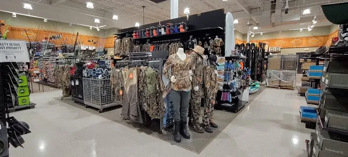 DICK'S Sporting Goods Picture 2