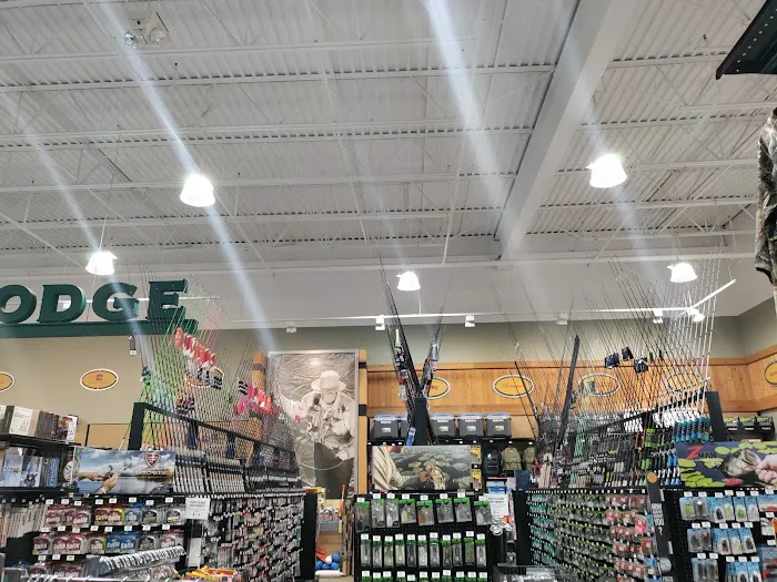 DICK'S Sporting Goods Picture 6