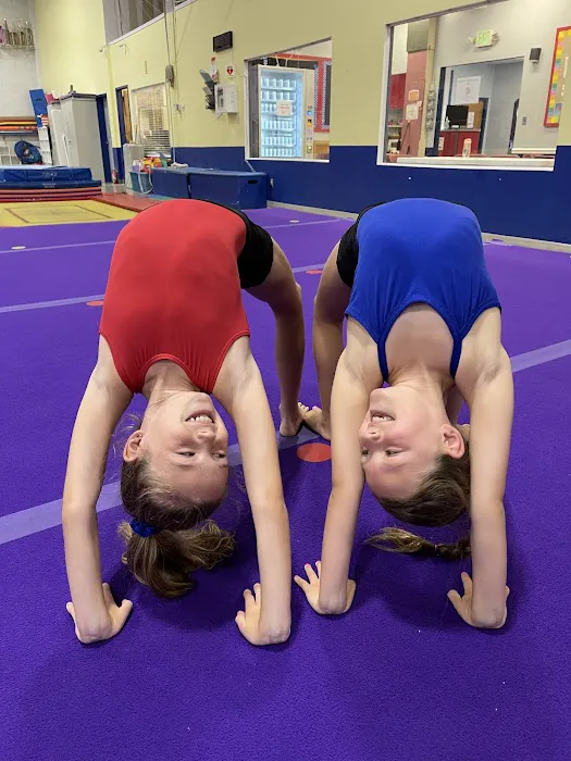 Rebounders Gymnastics Picture 1