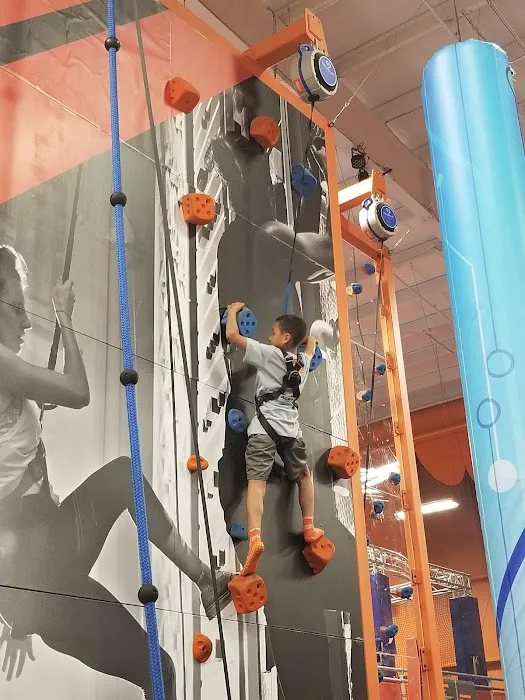 Sky Zone Trampoline Park Picture 4
