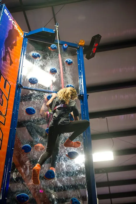 Sky Zone Trampoline Park Picture 2