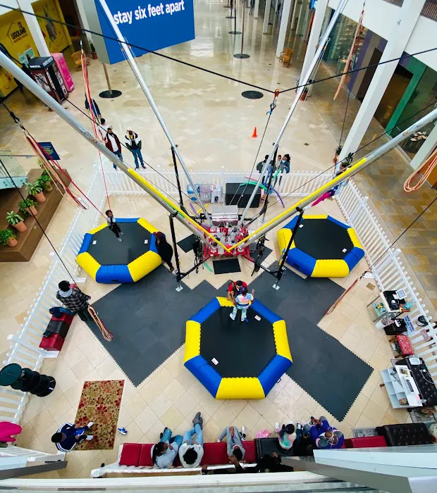 Jump Star Bungee Trampoline Picture 1